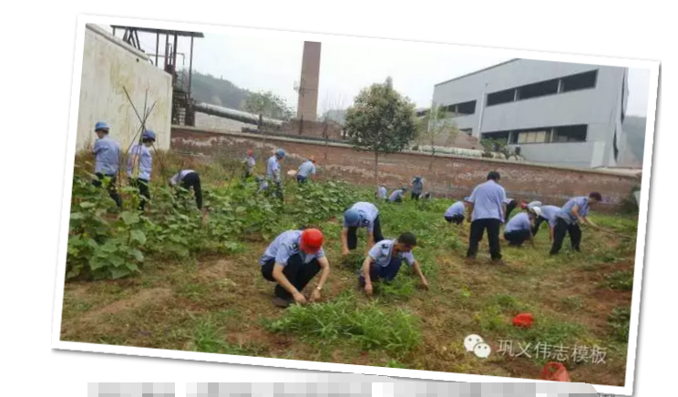 員工冒雨參加義務(wù)勞動！感動———偉志鋼模板廠家