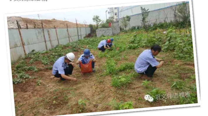 員工冒雨參加義務(wù)勞動！感動———偉志鋼模板廠家