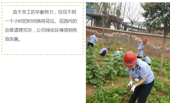 員工冒雨參加義務(wù)勞動！感動———偉志鋼模板廠家