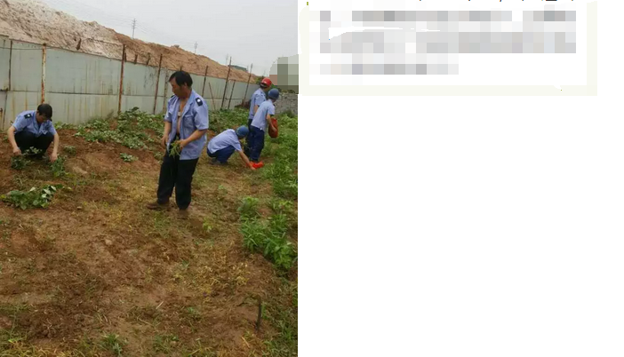 員工冒雨參加義務(wù)勞動！感動———偉志鋼模板廠家